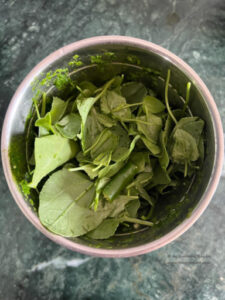 sorrel leaves green chillies in mixer jar